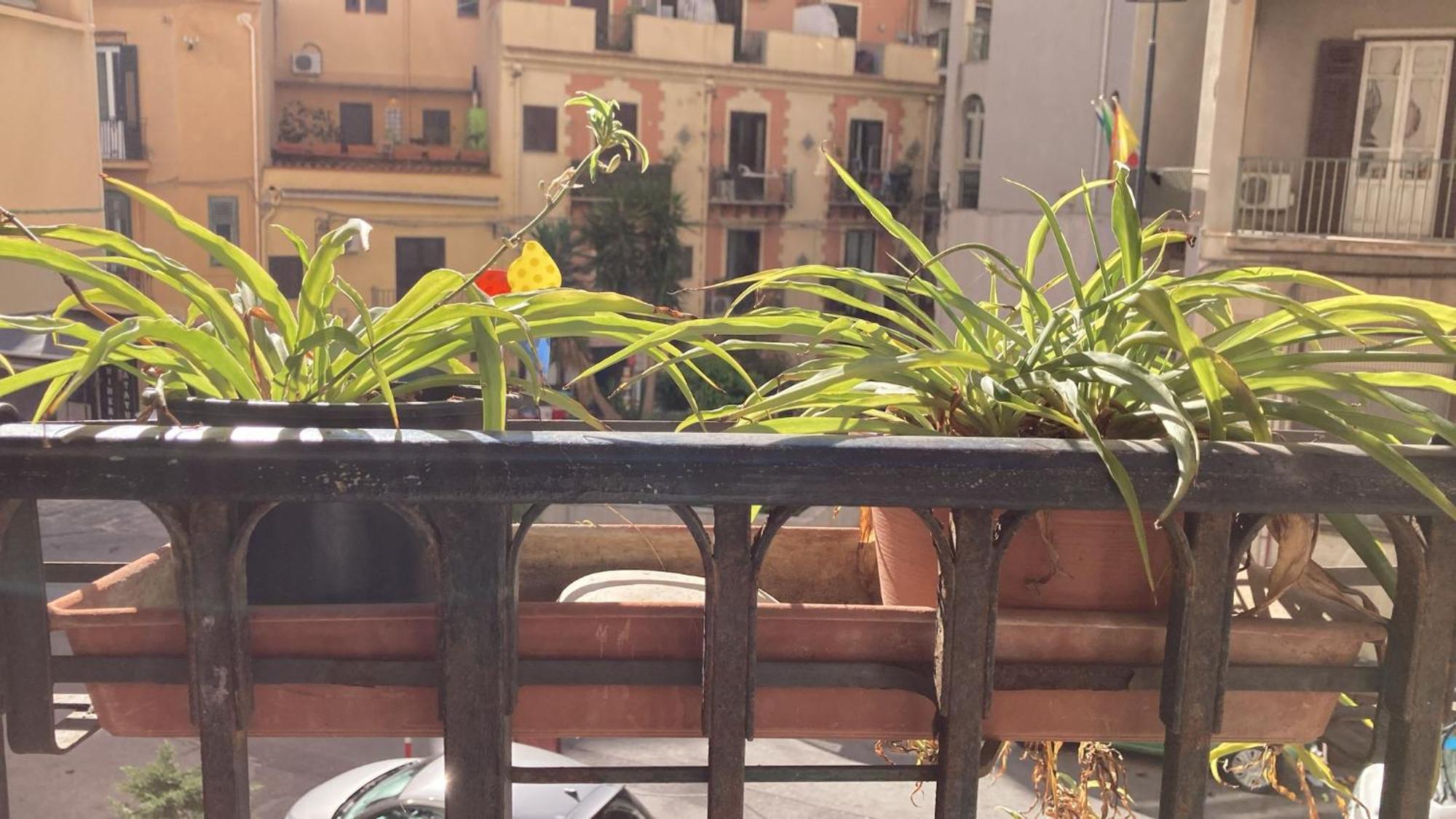 Apartament Casa Empedocle Palermo Zewnętrze zdjęcie